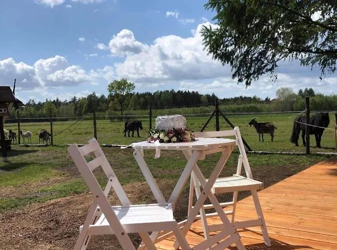 Zamieszkaj Na Wsi Blisko Warszawy Borucza